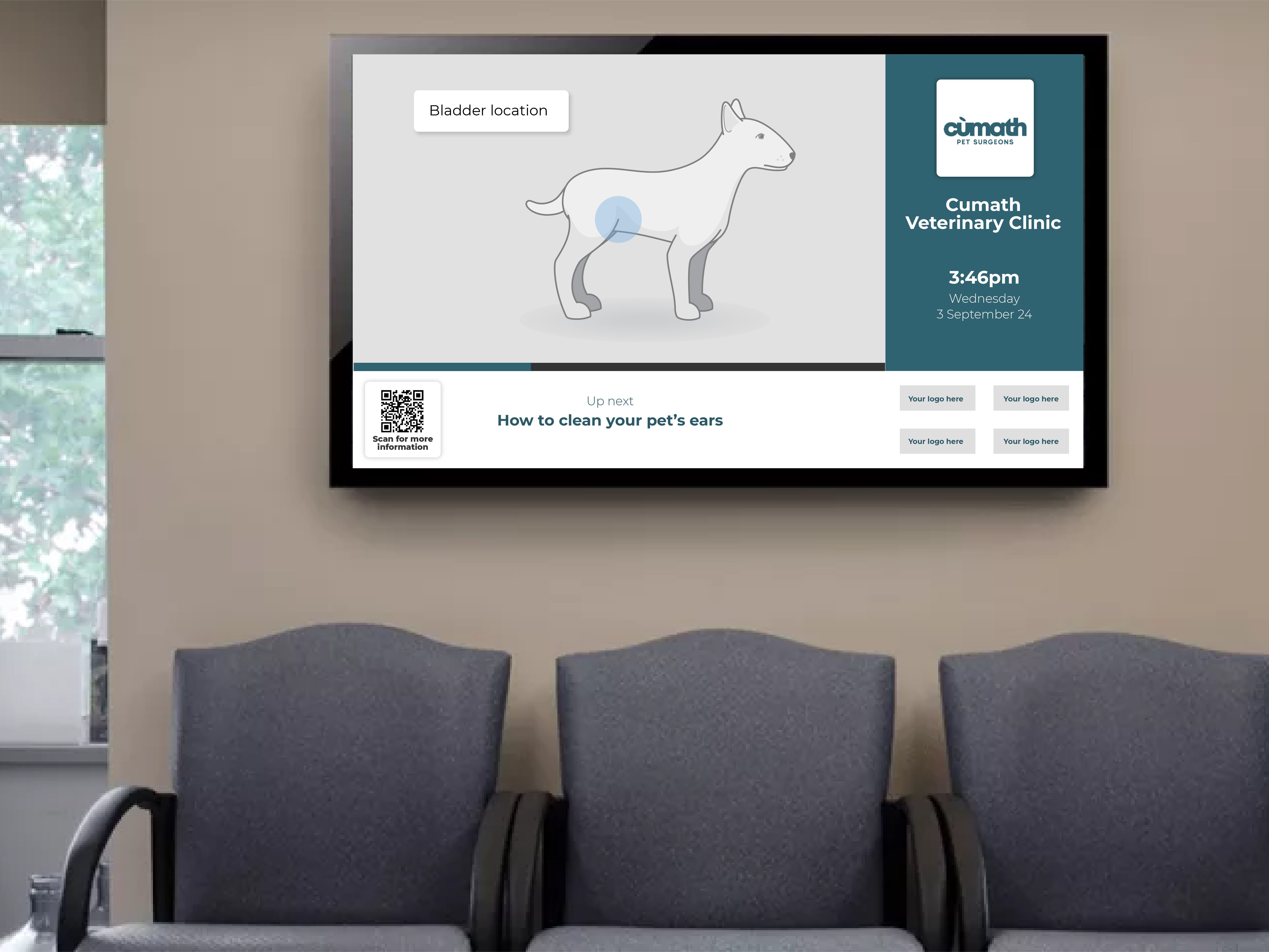 VetCheck TV Waiting Room Content